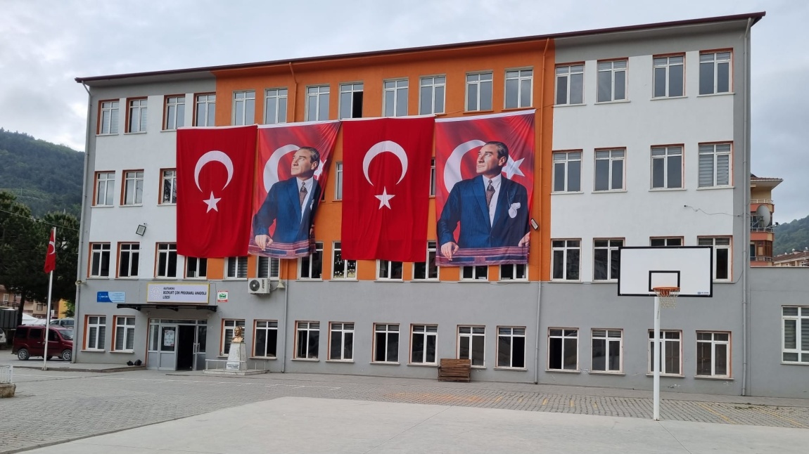 Bozkurt Çok Programlı Anadolu Lisesi Fotoğrafı